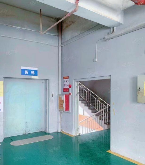 道滘新出3750方13层标准厂房园区厂房出租环境好管理规范