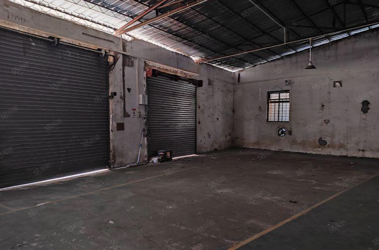 道滘单一层铁皮厂房，900平方可以分租450平方报价10元