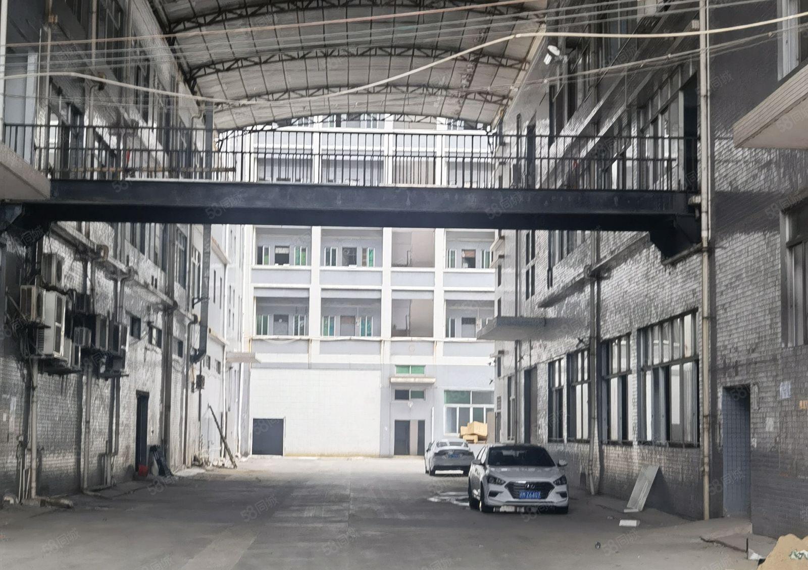 厂房出租低价，道滘现成食品环评独门独院，靠高速证件齐好进货柜