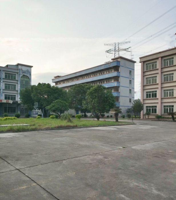 道滘原房东独院花园式厂房出租！空地大交通便利