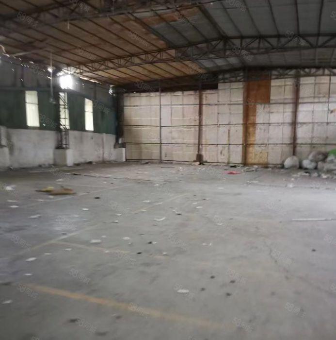 道滘新出4800独门独院厂房