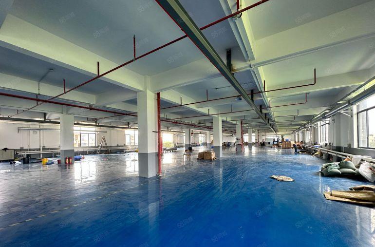 道滘镇精装修楼上厂房出租，单层2000平方，水电办公室