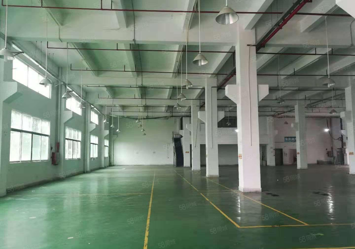 东莞市一手厂房出租，证件齐全，实际面积出租。