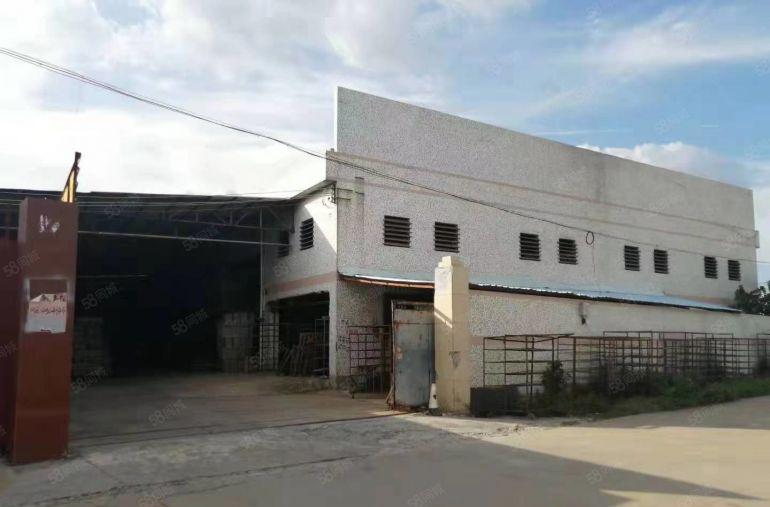 道滘镇新出单一层独门独院厂房