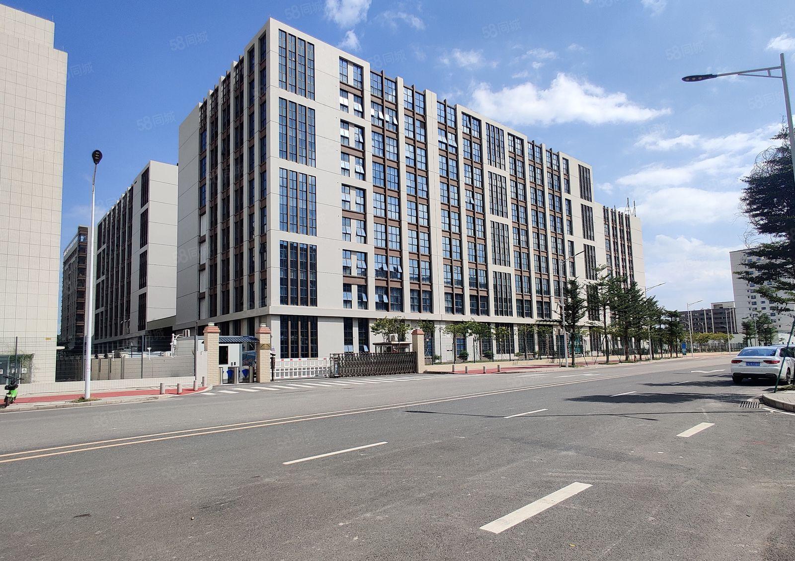 6元200平起租道滘望牛墩洪梅原房东无公摊一楼仓库厂房出租