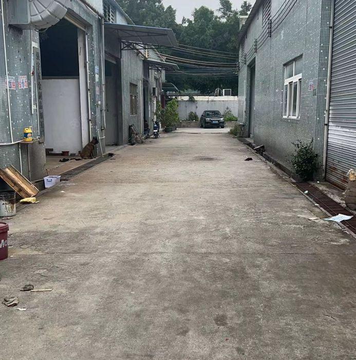 真实图片，厂房空地超大，钢构厂房滴水7米