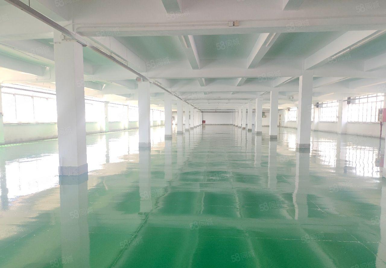 东莞市一手厂房出租，证件齐全，实际面积出租。