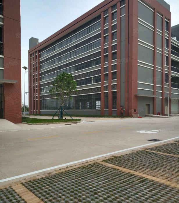 原房东全新园区厂房，形象好，空地大，停车方便，超长免租期