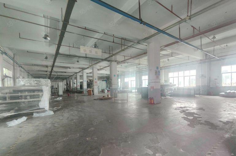 道滘新出花园式独门独院标准厂房26000平方面积大小可分租