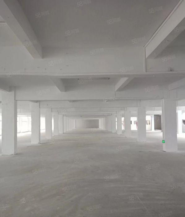 东莞道滘新出原房东标准厂房 1100 平厂房出租 可办环评