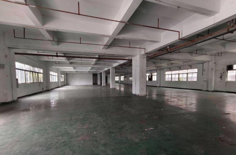 道滘南丫工业区独院标准厂房出租