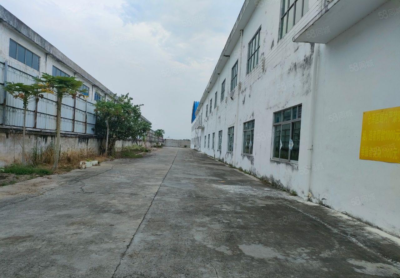 厂房出租 道滘单一层厂房约6万平方，滴水11米，部分带行车