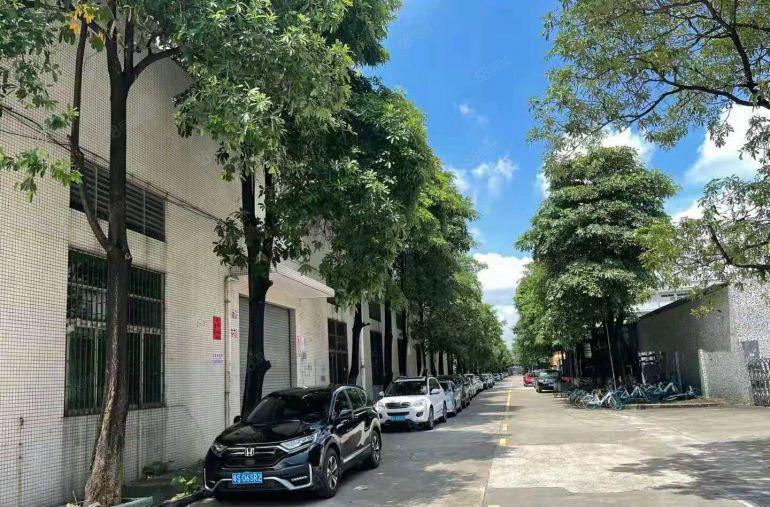 (新出）道滘原房东独院厂房2100平方出租