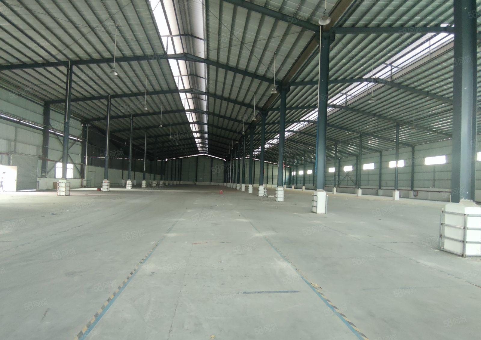 道滘靠近洪梅独门独院单一层钢结构厂房出租8000平方6间宿舍