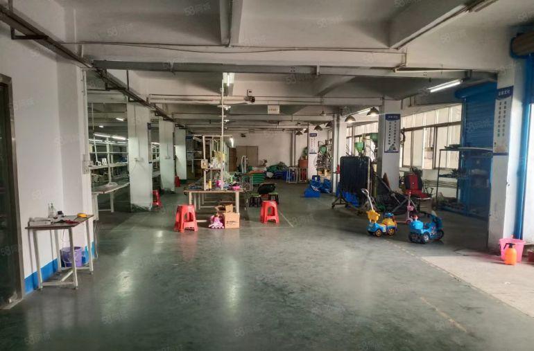 道滘蔡白独栋厂房，带2吨货梯火爆招租