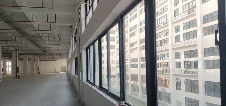 东莞水乡片区政府园区全新带红本厂房出租3千平方可分租，整租