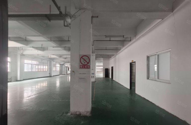 道滘南丫工业区独院标准厂房出租