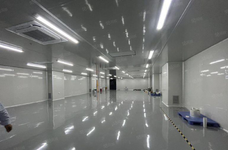 原房东红本双证独院2层独院现成装修 现成环评厂房可分租