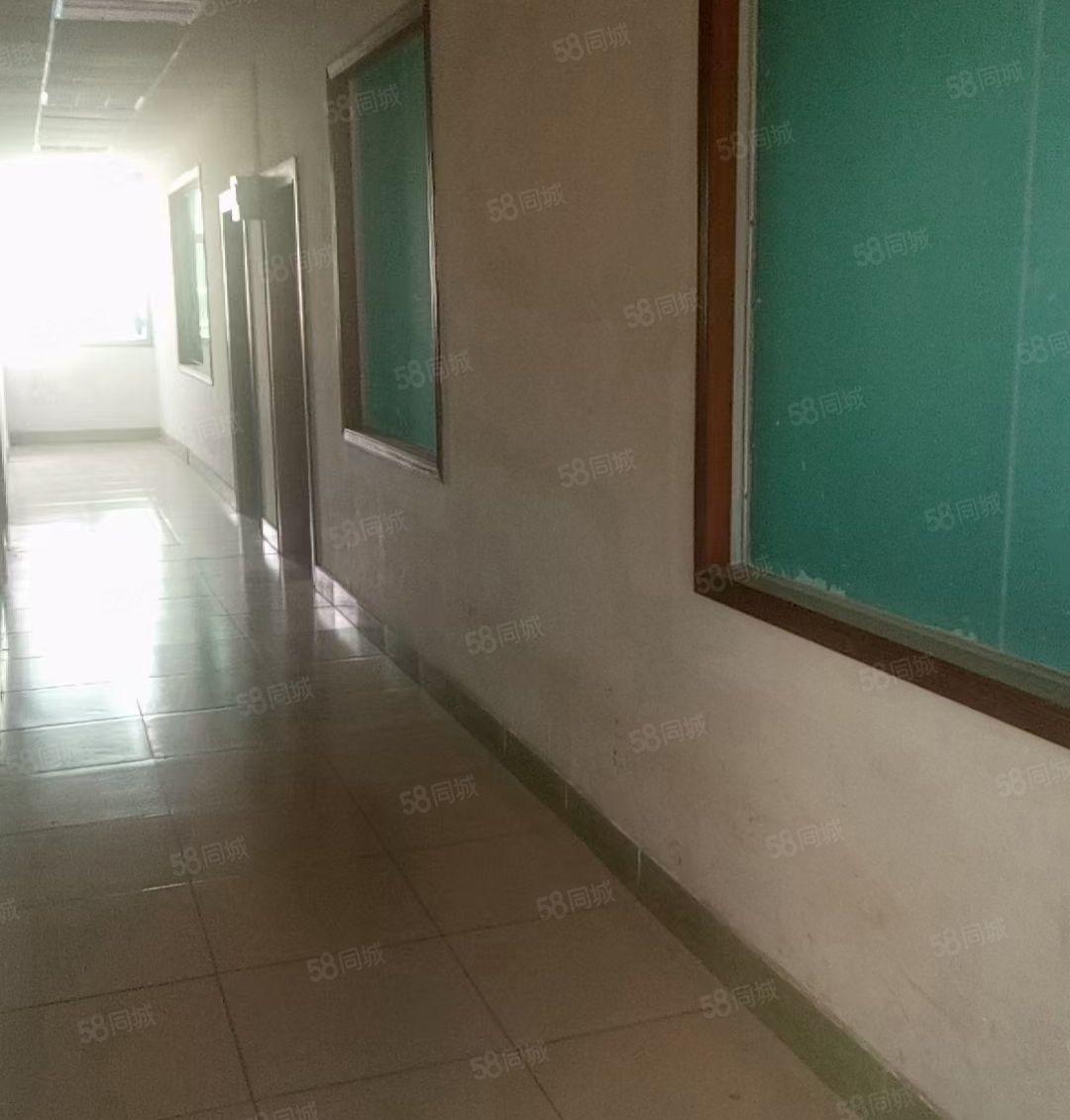 厂房出租 道滘独门独院单一层厂房，可办环评，带办公宿舍