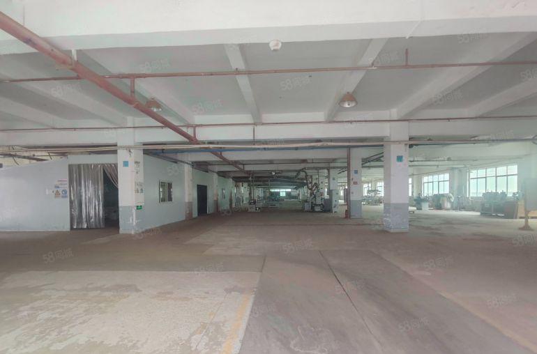 道滘新出花园式独门独院标准厂房26000平方面积大小可分租