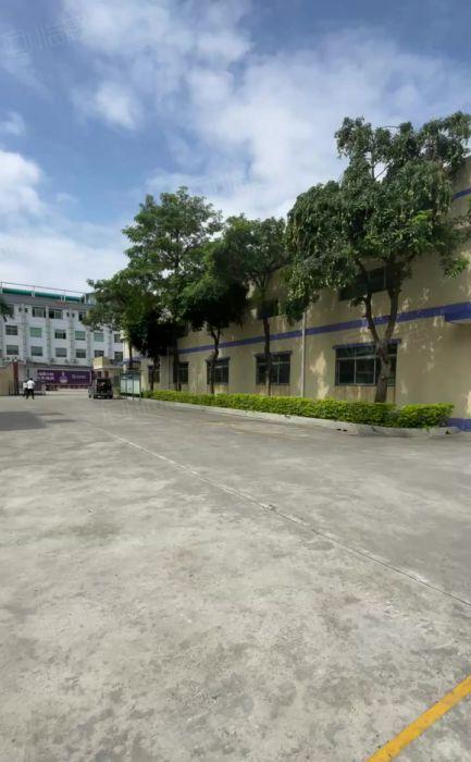 新资源道滘1000平单一层空地大