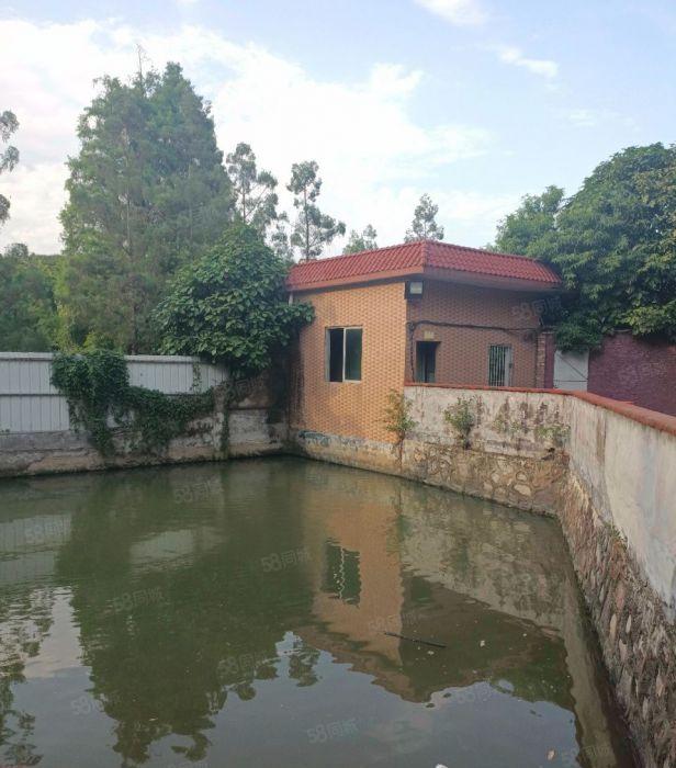 超大空地，原房东直租花园式独院厂房，独立办公楼，配套齐全