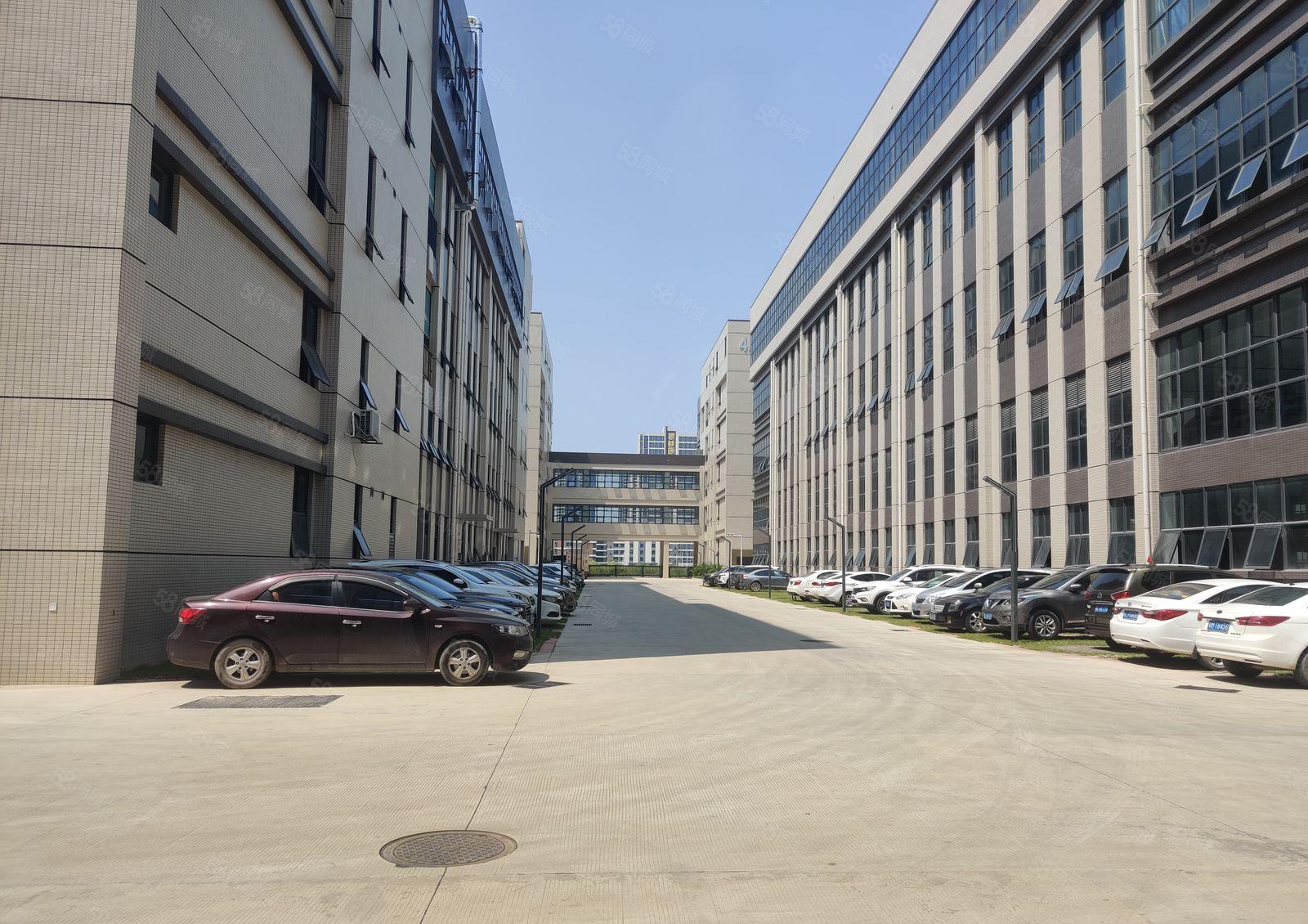 6元200平道滘望牛墩洪梅原房东无公摊2万平一楼仓库厂房出租