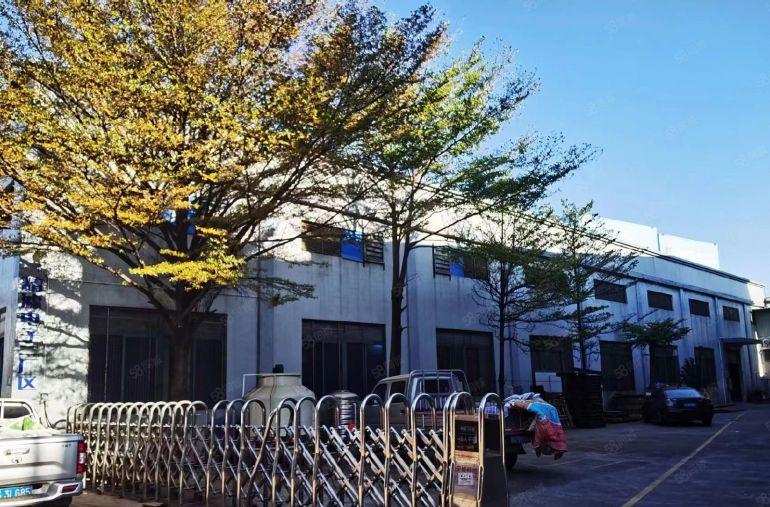 低价原房东道滘镇独门独院5300平方，可分租为2个独院