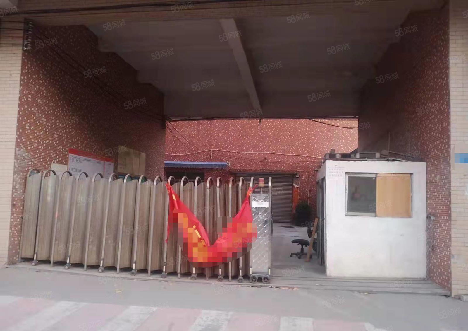 道滘南阁原房东，全新装修，独门独院单一层厂房出租