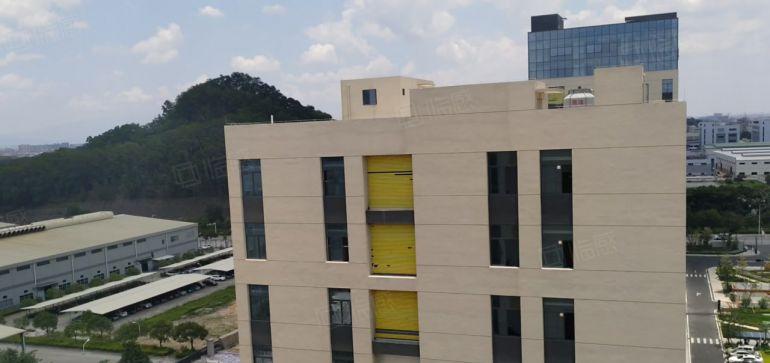 原房东7元200平起租东莞道滘望牛墩6千平厂房出租面积实在