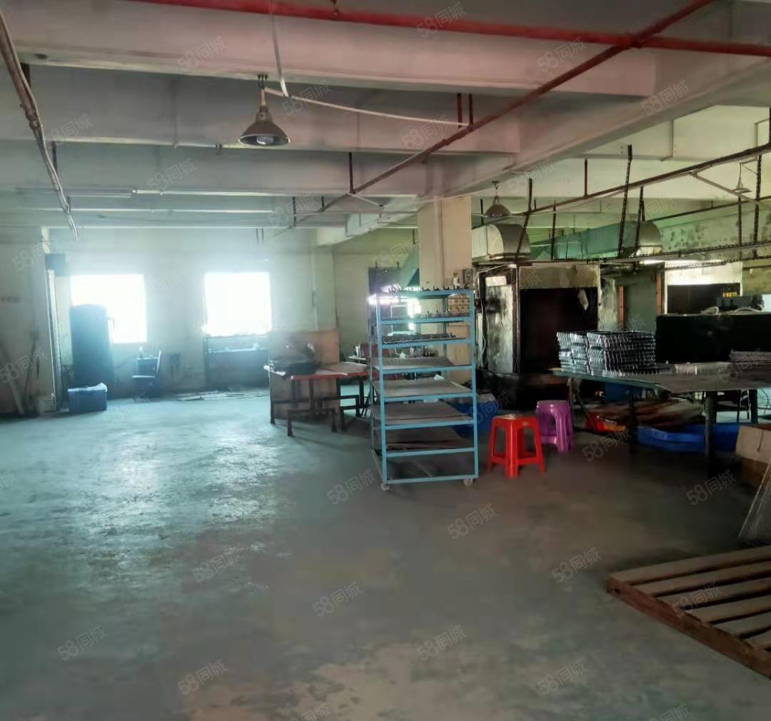 厂房出租  道滘原房东独院厂房，周边无居民，可办环评，形象好