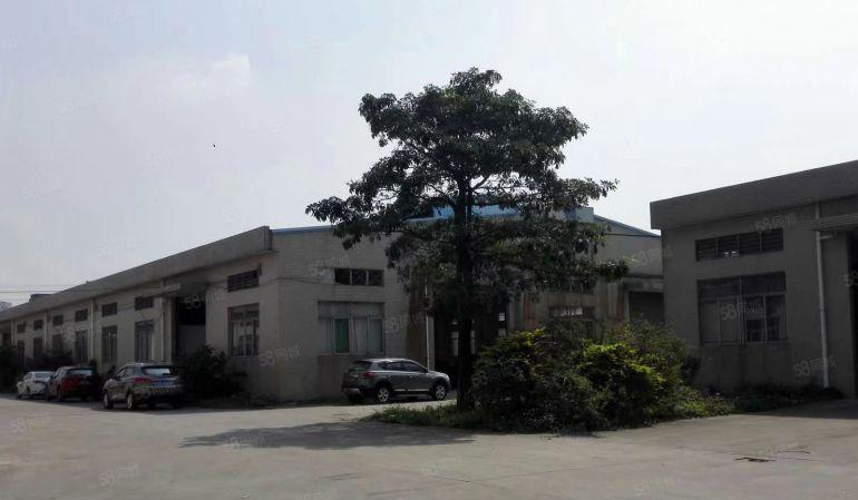 （新房源）原房东独院单一层厂房1300平方招租