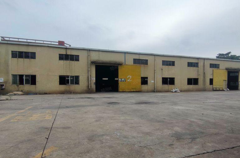 道滘镇原房东独院单一层厂房出租6000平方带宿舍办公室可分租