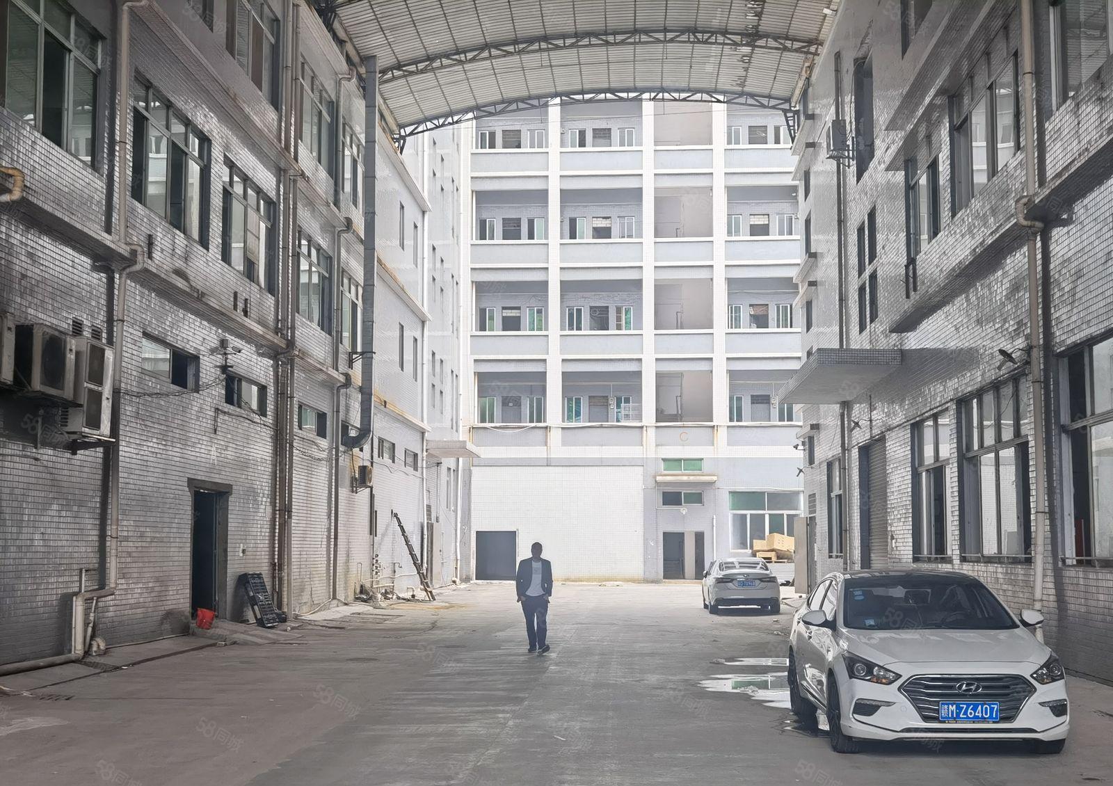 厂房出租低价，道滘现成食品环评独门独院，靠高速证件齐好进货柜