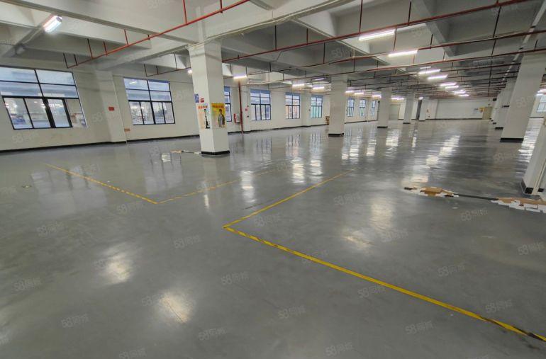 原房东全新园区厂房，形象好，空地大，停车方便，超长免租期