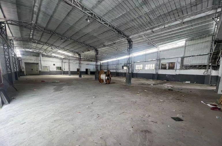 道滘新出4800独门独院厂房