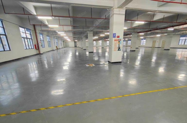 原房东全新园区厂房，形象好，空地大，停车方便，超长免租期