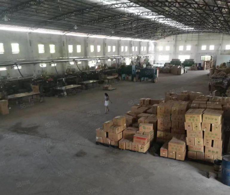 道滘镇新出单一层独门独院厂房