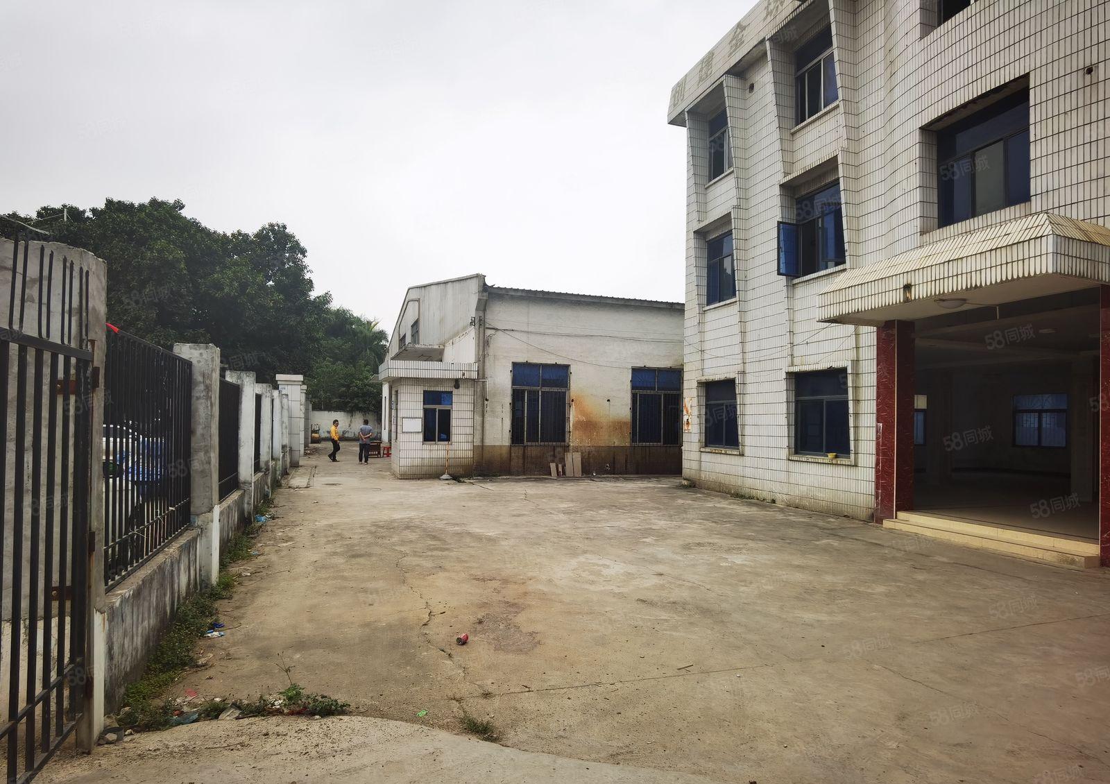 道滘镇低价独院单一层厂房出租3200平方空地大交通方便可分租