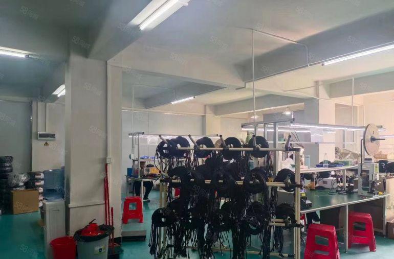 茶山新出350平方厂房，现成装修，价格便宜