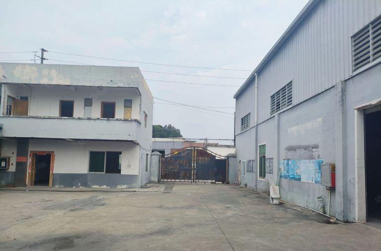 茶山镇单一层独门独院3800平方滴水7米高现成装修厂出租房