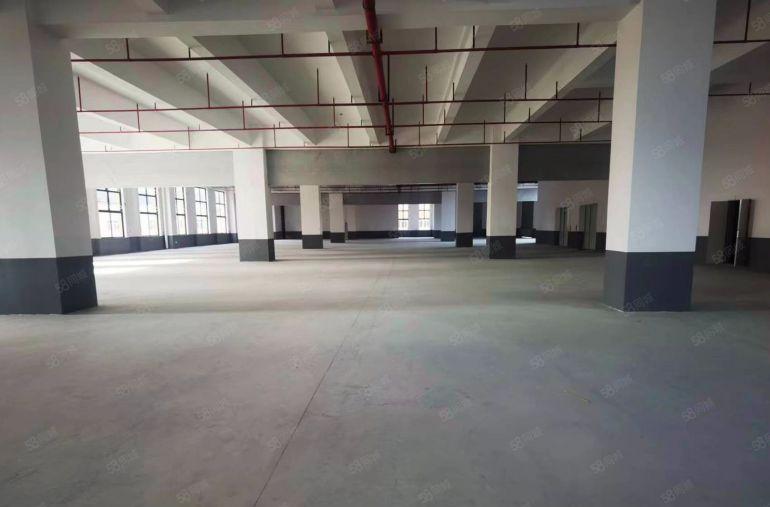 茶山超朗原业主新园区11元免费带看 面积可选 招工便利