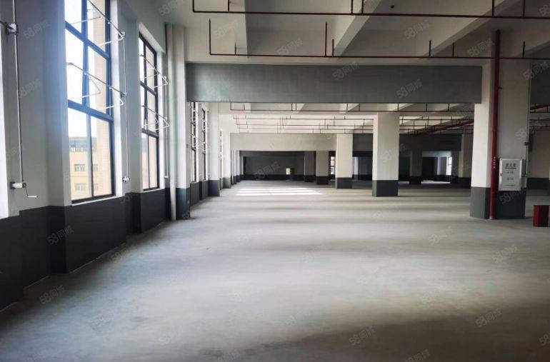 茶山超朗原业主新园区11元免费带看 面积可选 招工便利