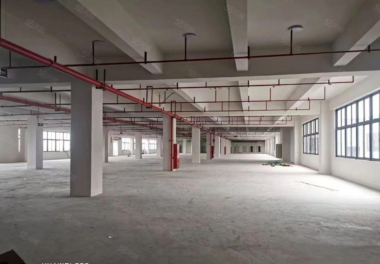 特价出租原房东独院厂房4层8200平宿舍1200 带消防喷淋