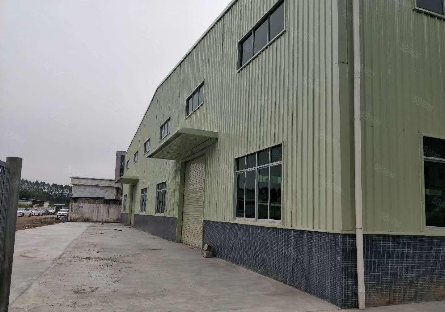 茶山原房东全新单一层钢结构厂房出租3000平方招租 滴水9米