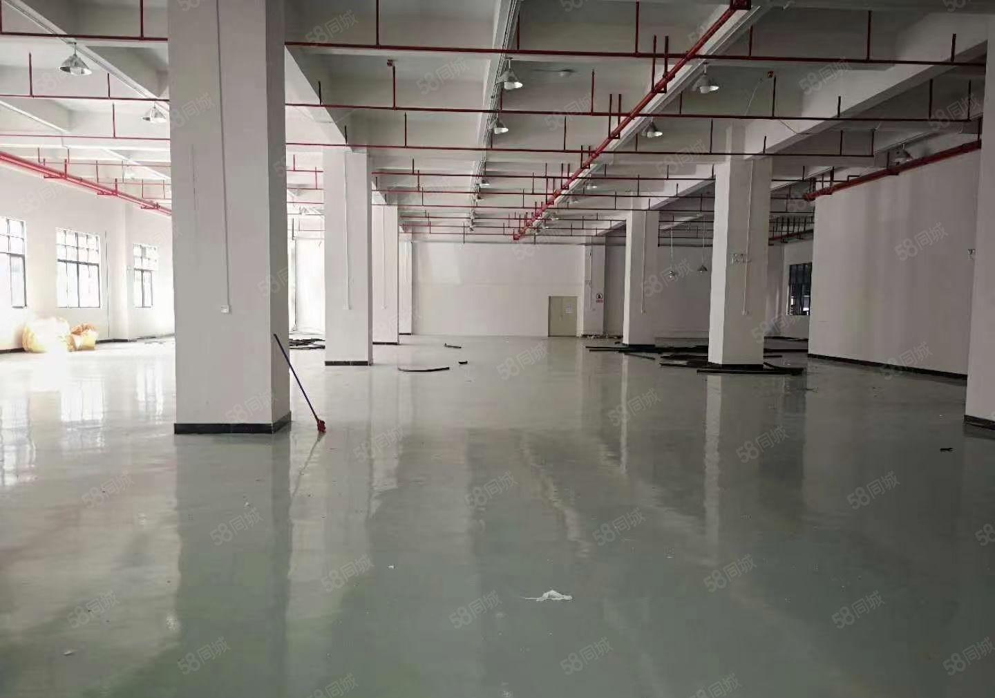 独院厂房分租二楼一整层1500平方，价格12可谈