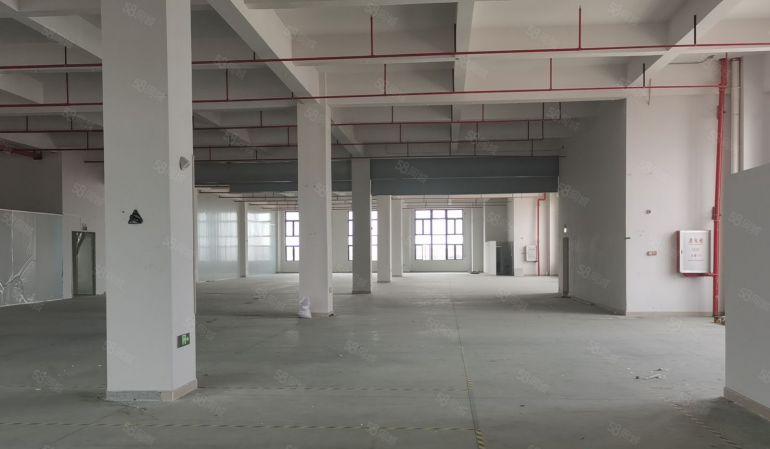 东莞市茶山镇新建独院厂房1000一5000平方起租格便宜。