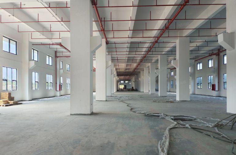 一手业主10元一平起租，茶山原房东5220平整层厂房出租