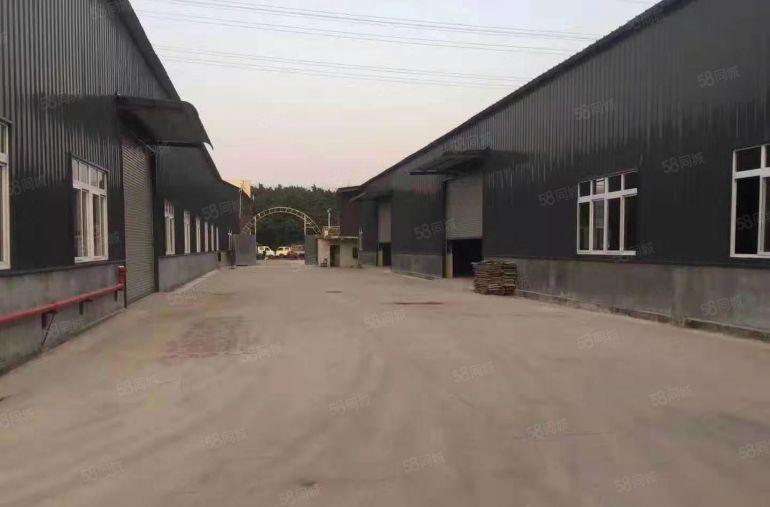 厂房出租茶山原房东独栋钢结构单一层3000平方招租 工业用地