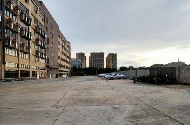 茶山镇伟建工业园区花园式独门独院标准厂房54000平米出租